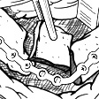 mandible
